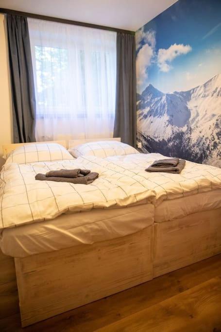 Apartament Leszczynska 29 Bielsko-Biała Eksteriør bilde