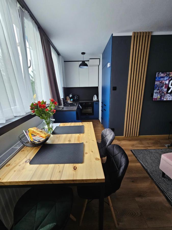 Apartament Leszczynska 29 Bielsko-Biała Eksteriør bilde